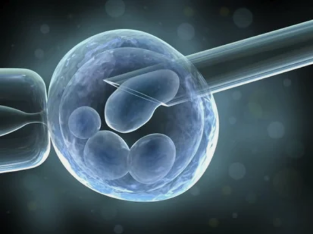 The stem cells in the treatment of knee