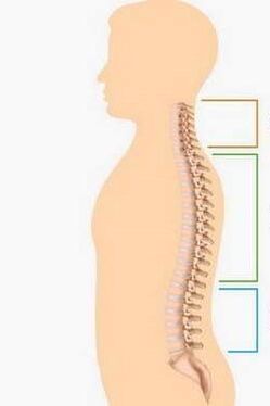 beat by bone necrosis of different parts of the spine